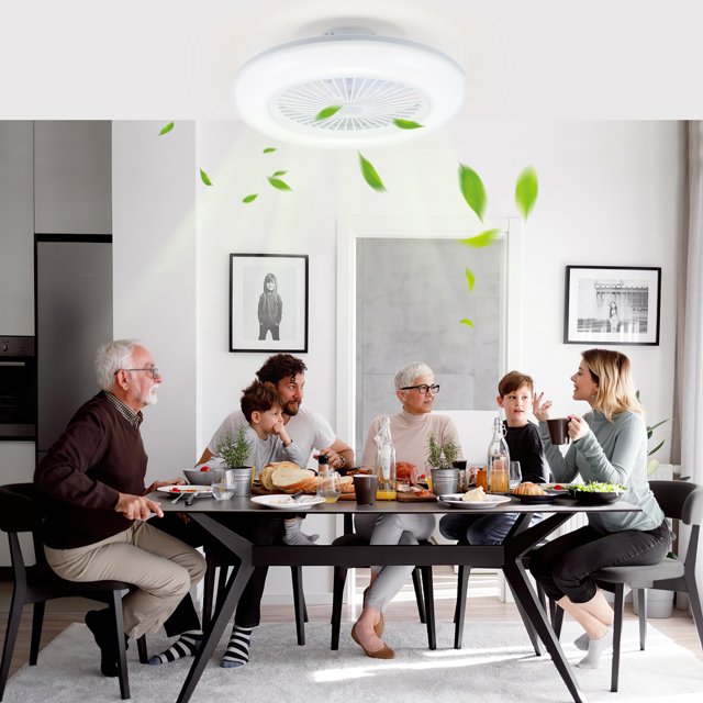Teedor 80W Ceiling Fan with Lighting, 22 inch Mordern LED Enclosed Flush Mount Ceiling Fan, 6 Wind Speed, Remote and APP Control Light Fan, 3 Color Temperatures, timing, White, 3000-6500K
